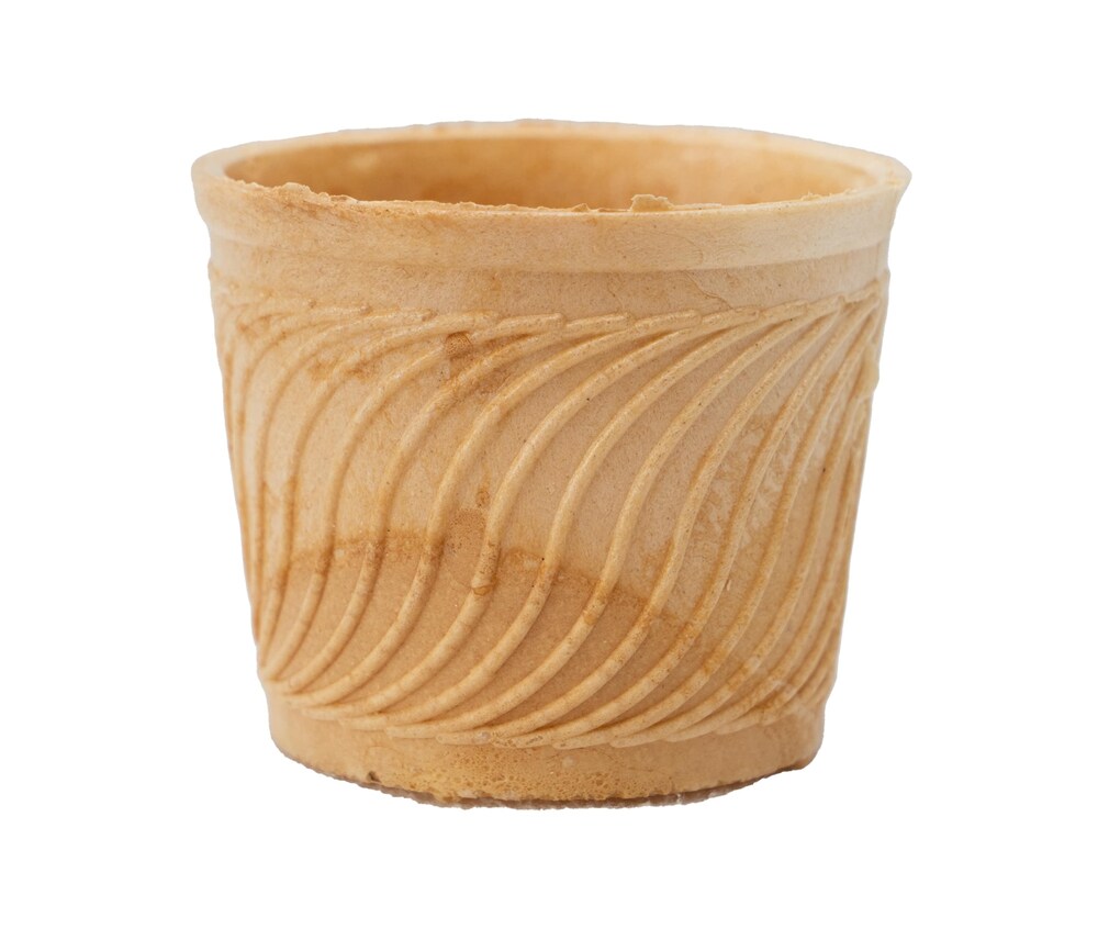 23990806-73C9-4E0A-BADE-016B54C9680F