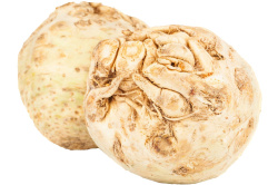 100025-knolselderij-zonder-blad