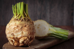 100025-sfeerimpressie_knolselderij