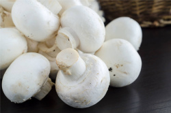 100374-close_up_champignons