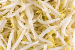 106155-close_up_tauge_2143650884