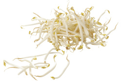 106625-tauge-gewassen