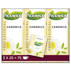 C68BD523-32BE-4954-A9D1-2176CB582020