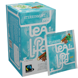 sterrenmunt_tekengebied-1