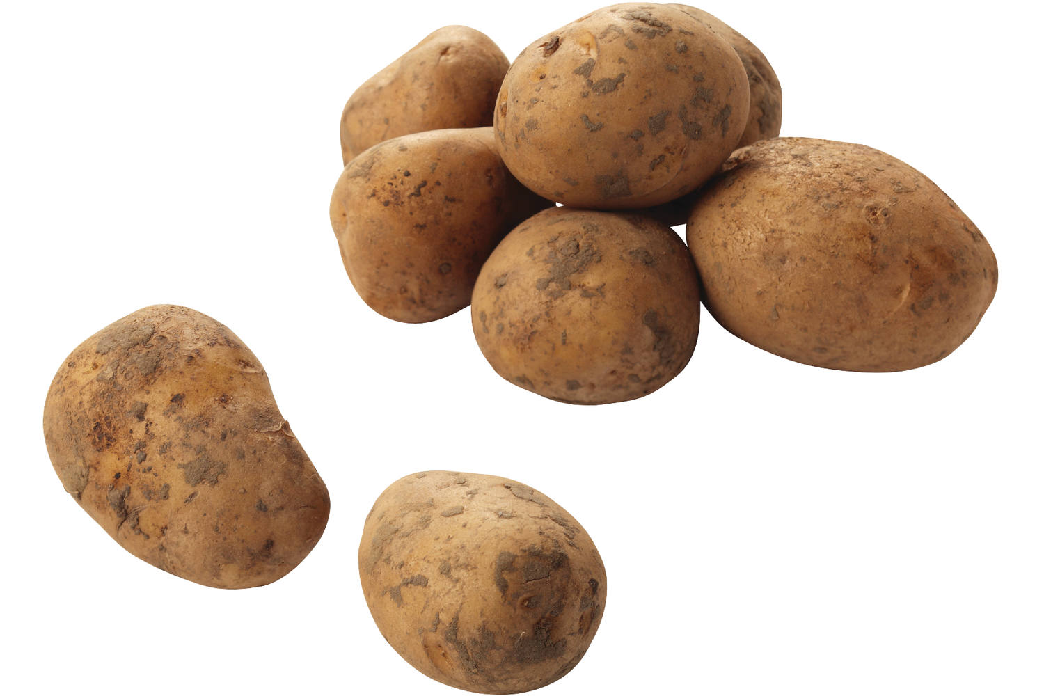 100281-nicola-aardappels_2040910233