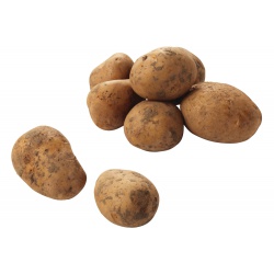 100281-nicola-aardappels