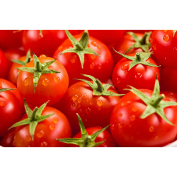 115209-stapel_tomaten