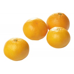 125217-mandarijnen